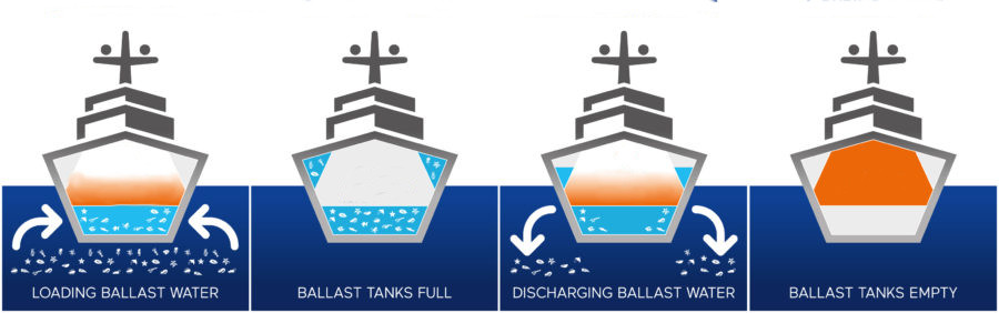 ballast water management